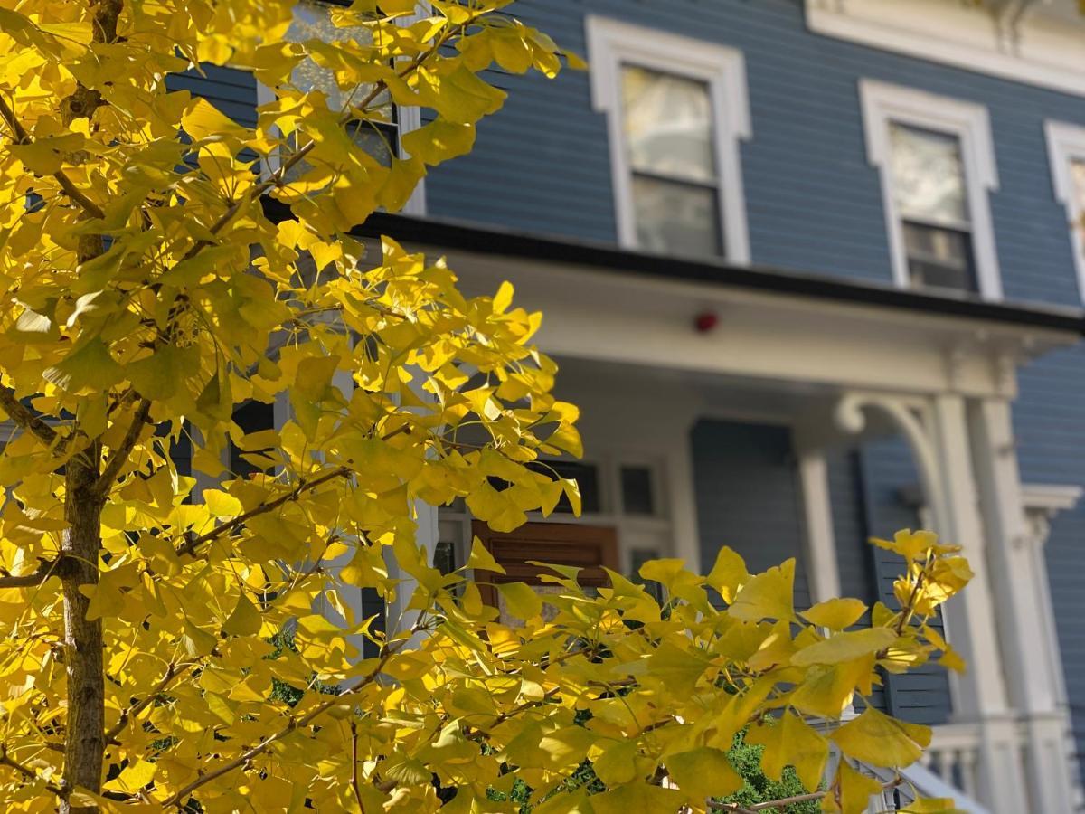 Ginkgo House On Harvard Cambridge Exterior photo